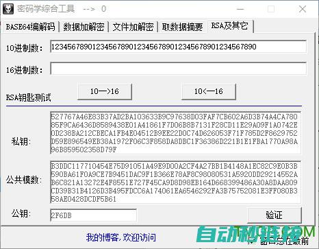 揭开解密下载的真面目 (揭开解密下载app)