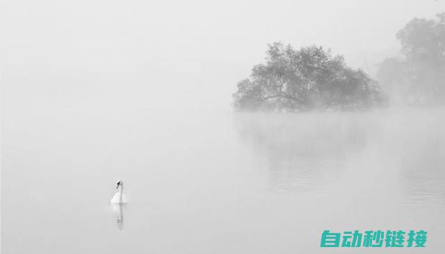 洞悉注释的魅力，解读代码内在逻辑 (洞悉注释的魅力是什么)