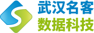 网站建设-数据获取-武汉名客数据科技